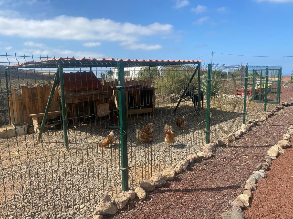 Mini Casa Finca Arcoiris Tenerife Guía de Isora Eksteriør bilde