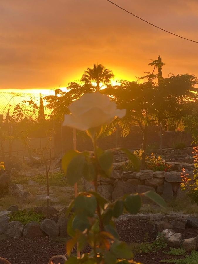 Mini Casa Finca Arcoiris Tenerife Guía de Isora Eksteriør bilde