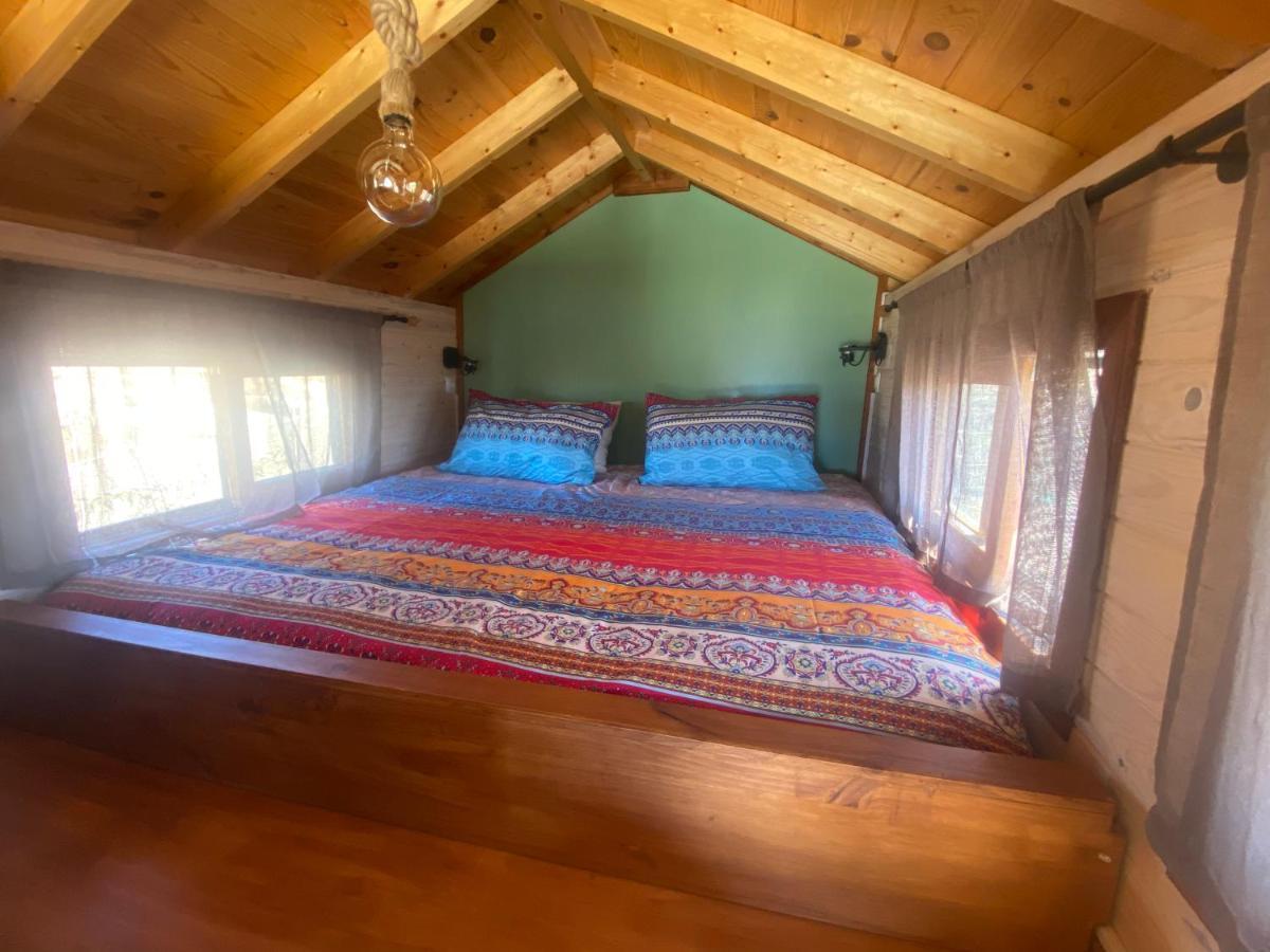 Mini Casa Finca Arcoiris Tenerife Guía de Isora Eksteriør bilde